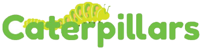 Caterpillars